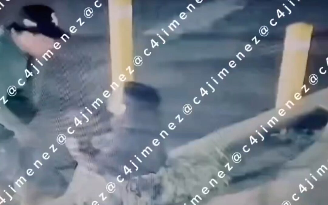 Omar, un presunto policía federal, agrede a su novia y es confrontado por un joven con una pistola