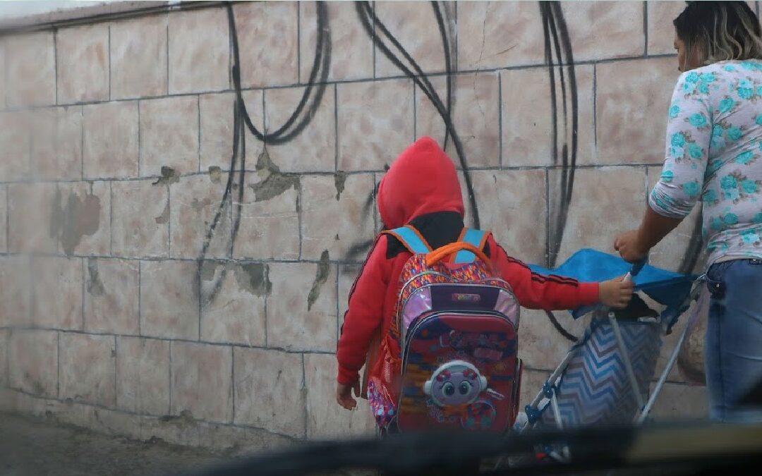 Suspensión de Clases en el Noreste de Guanajuato: SEG Monitorea las Bajas Temperaturas