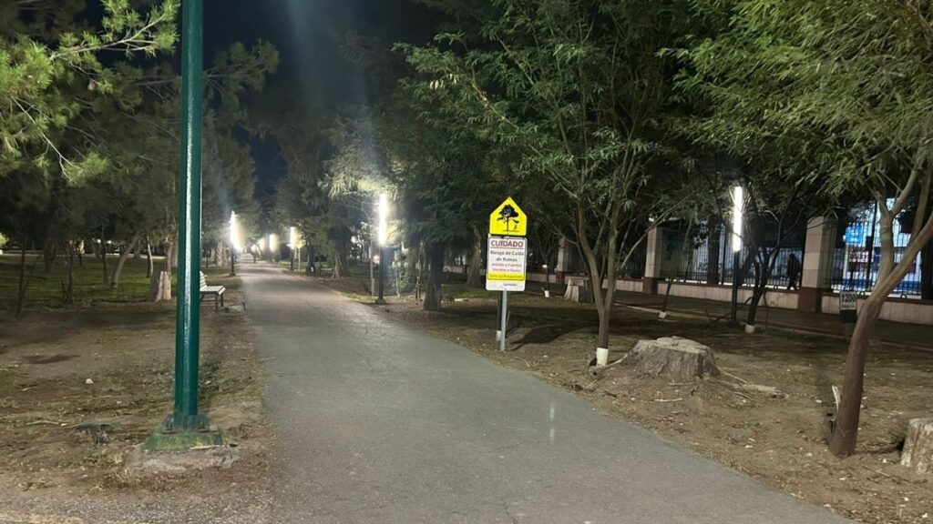 Mejoras en el Bosque Venustiano Carranza: Inversión de Seis Millones de Pesos para el Desarrollo Urbano en Phoenix