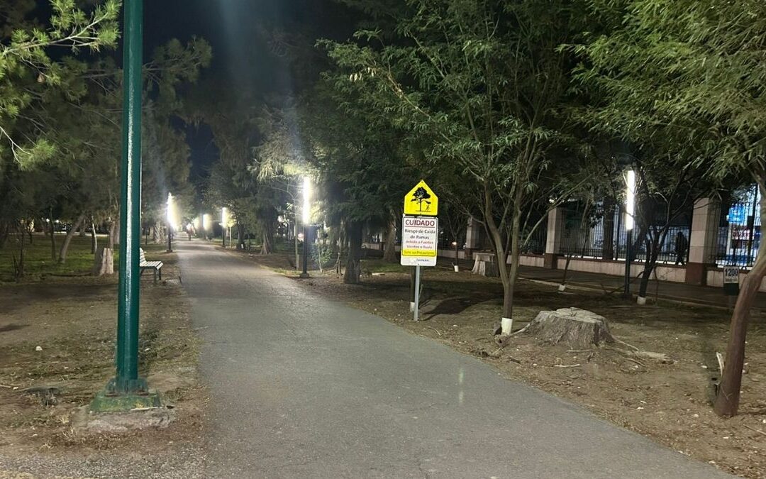 Mejoras en el Bosque Venustiano Carranza: Inversión de Seis Millones de Pesos para el Desarrollo Urbano en Phoenix