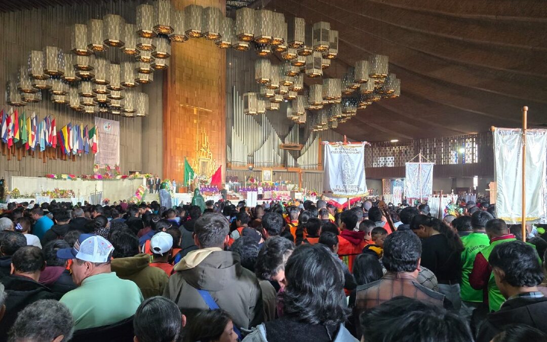 Horarios de las Misas en la Basílica de Guadalupe para el 12 de Diciembre de 2023