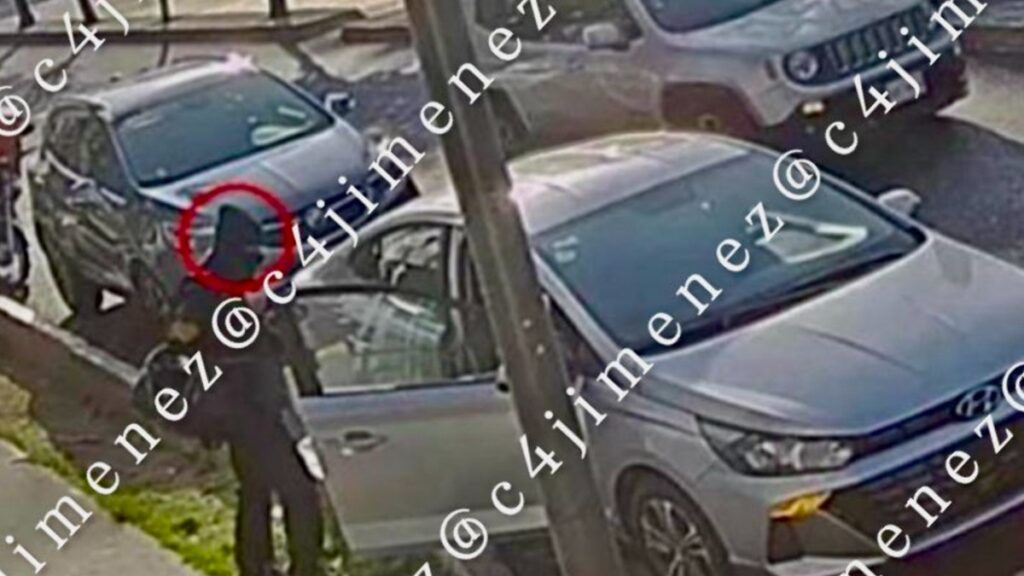 Las 5 Noticias C4 Más Importantes en Alerta Hoy, 11 de Diciembre de 2025