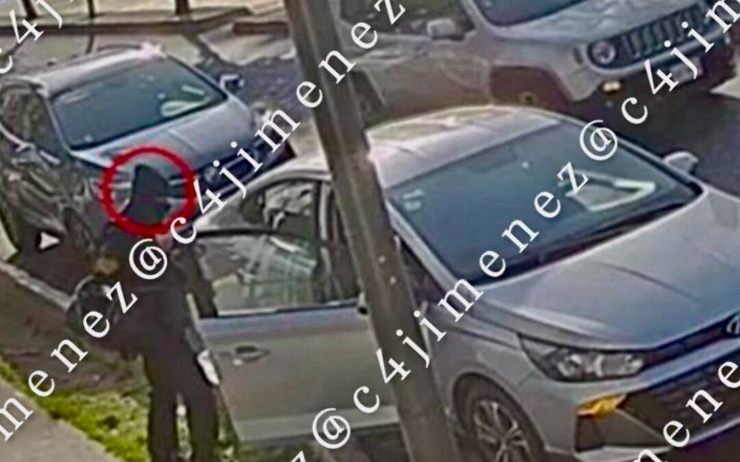 Las 5 Noticias C4 Más Importantes en Alerta Hoy, 11 de Diciembre de 2025