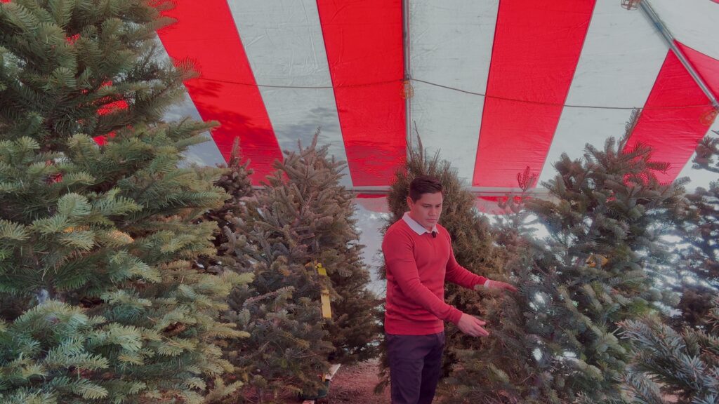 Precios NavideƱos Aumentan: Familias en Phoenix Afrontan Nuevos Gastos