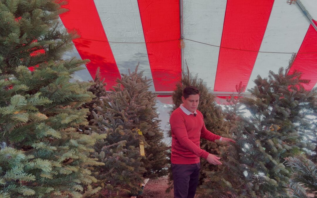 Precios Navideños Aumentan: Familias en Phoenix Afrontan Nuevos Gastos