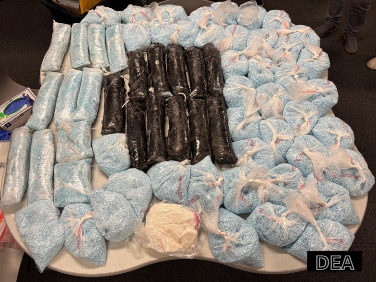 Carfentanil: La droga más letal superando al fentanilo llega a Colorado y preocupa a las autoridades