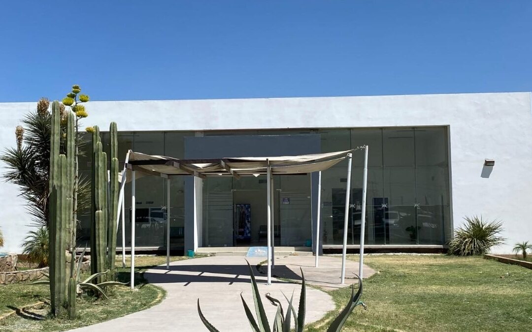 Alarma por Olor a Putrefacción en Villa Nazareno, Lerdo: ¿Qué se Descubrió?