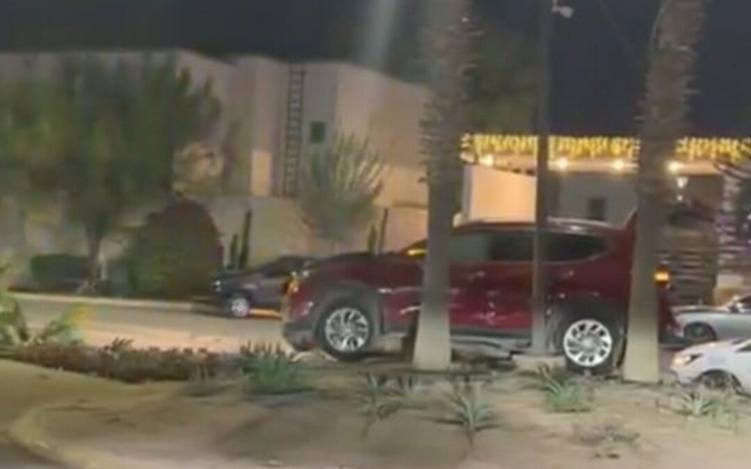 Conductor Irresponsable Derriba Palma y Abandona Camioneta en Viñedos