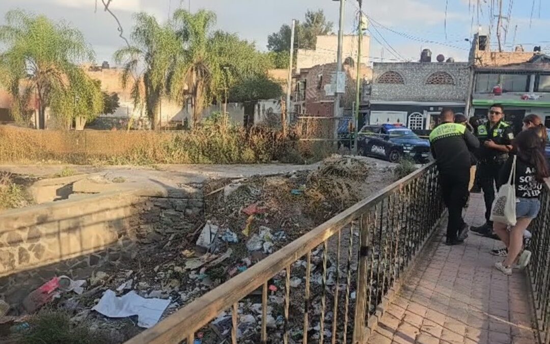 Madres Buscadoras localizan cráneo y restos humanos en Tonalá, Jalisco