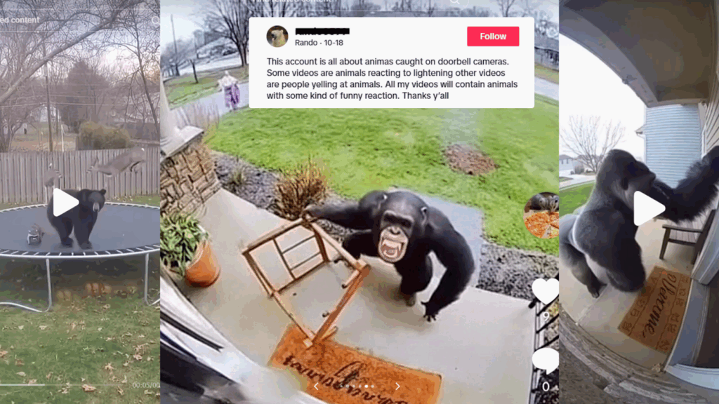 Zoológico del Condado de Sedgwick advierte sobre contenido generado por inteligencia artificial