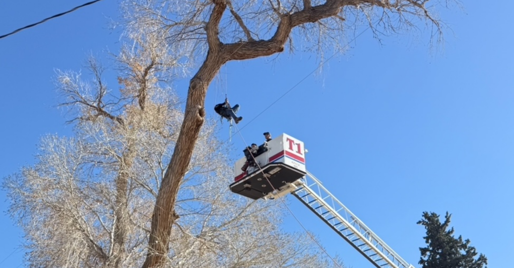 Rescate de Bomberos en Las Cruces: Un Trabajador Liberado de un Árbol