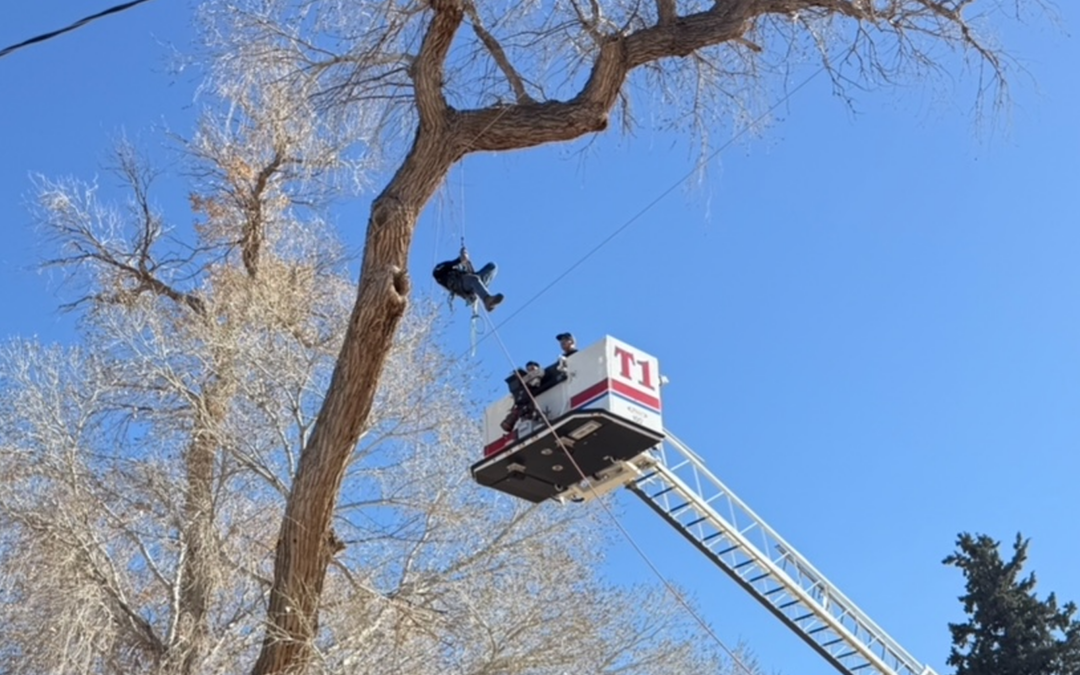 Rescate de Bomberos en Las Cruces: Un Trabajador Liberado de un Árbol