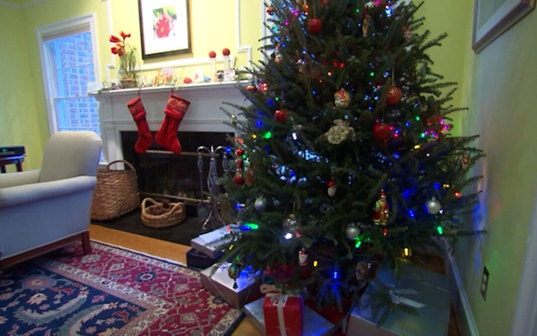 Seguridad en el hogar: Consejos esenciales para proteger a tu familia