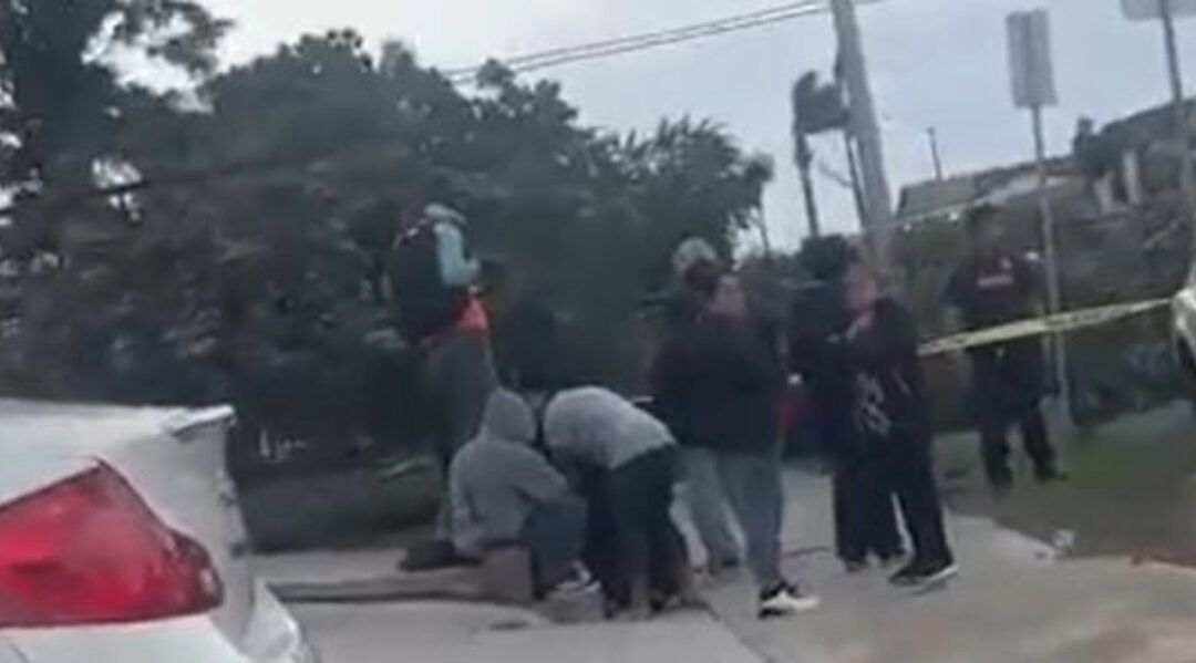 Trágica Muerte por Caída de Árbol en City Heights: Un Hombre Pierde la Vida en San Diego