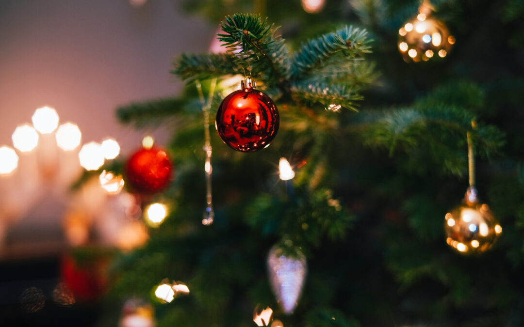 Cómo Participar en el Reciclaje de Árboles de Navidad con TreeCycle en Denver