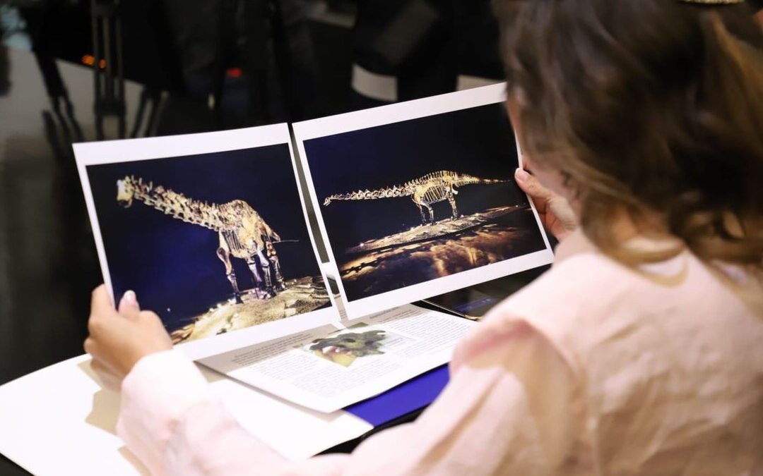 San Pedro Garza García Confirma: El Fósil ‘Einstein’ Fue Prestado, No Donado