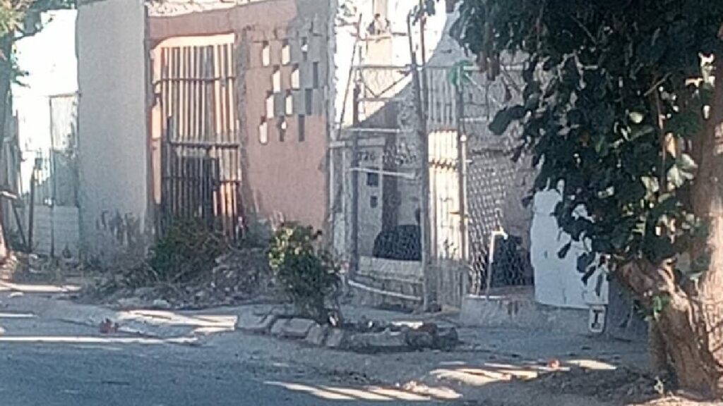 Torreón: Denuncian peligro por perros agresivos en Quintas los Nogales