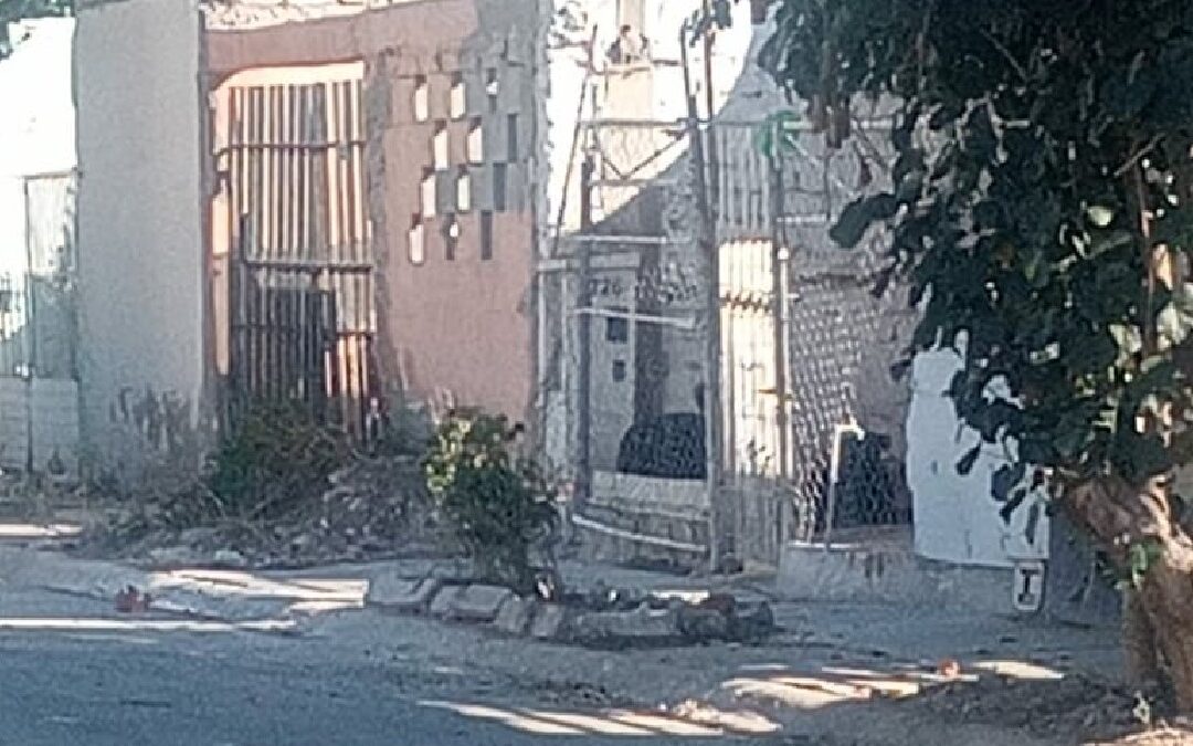 Torreón: Denuncian peligro por perros agresivos en Quintas los Nogales