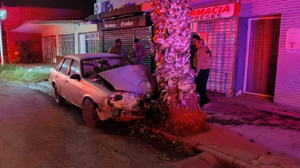 Accidente Automovilístico en Torreón: Menores de Edad Estrellan Automóvil Contra Palma y Sufren Fracturas