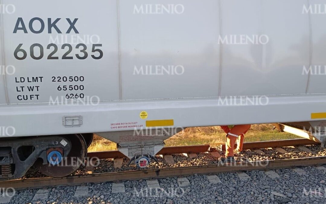 Cártel Santa Rosa de Lima Intenta Sabotear Tren en Cortazar para Robarlo