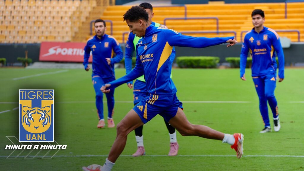 Tigres UANL: Últimas Noticias sobre Fichajes y Bajas para el Clausura 2026