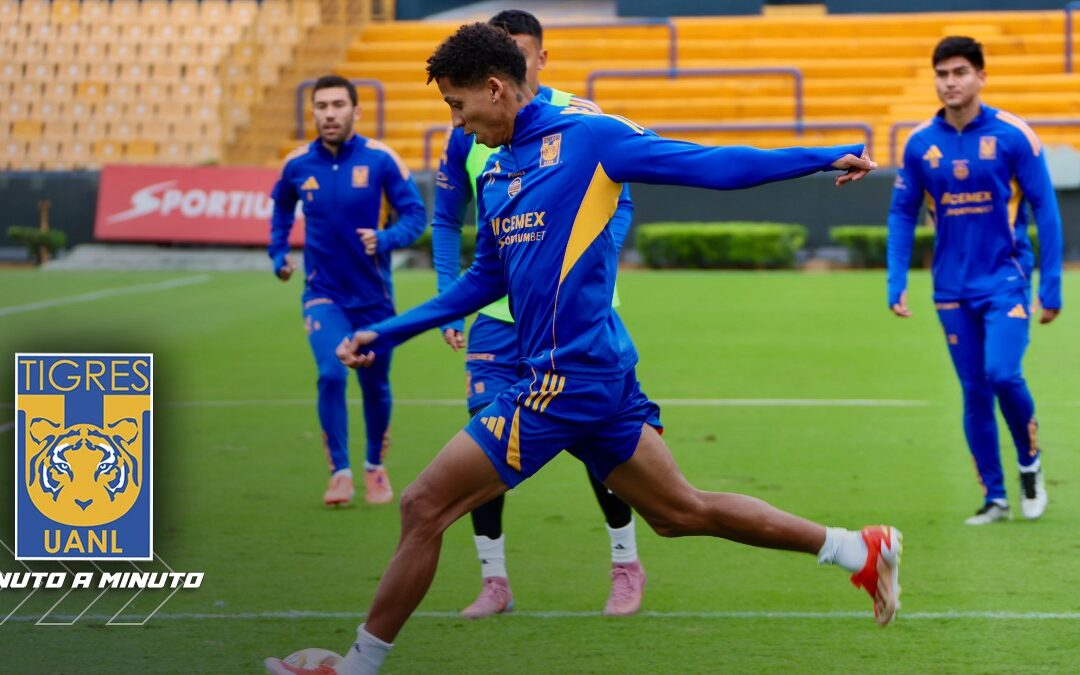 Tigres UANL: Últimas Noticias sobre Fichajes y Bajas para el Clausura 2026