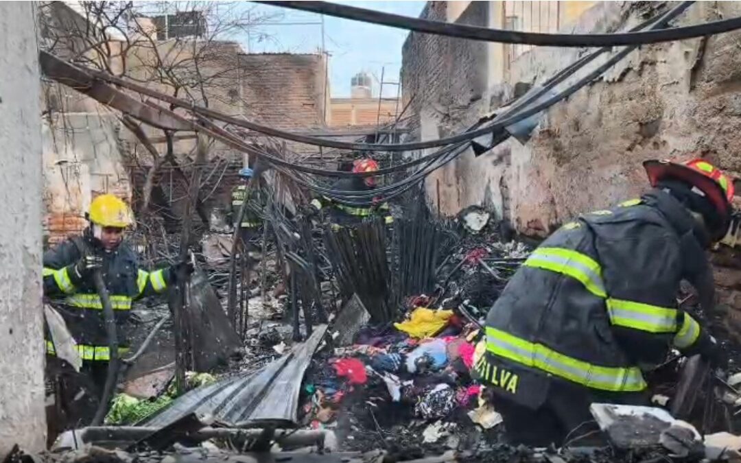 Incendio en Tonalá: Casa Destruida y Tres Perritos Perdidos en una Emergencia