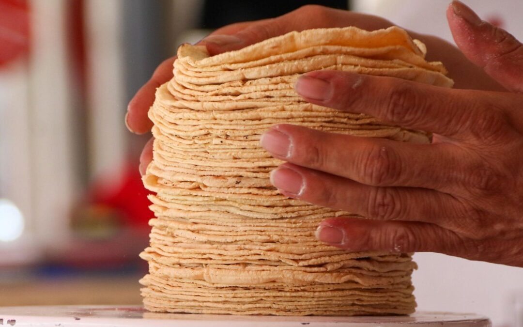 Precios de la Tortilla y Gasolina en Puebla: Tendencias y Cambios para el 2026