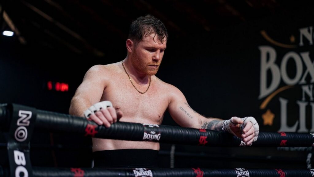 Todo sobre el Boxeo Profesional en 2026: Reglas, Títulos y Referentes Clave