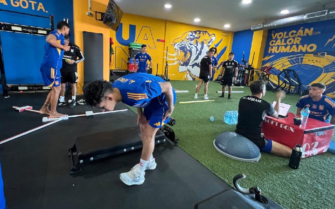 Tigres: ¡Bajas Confirmadas! Dos Jugadores Dejan el Equipo de Guido Pizarro para 2026