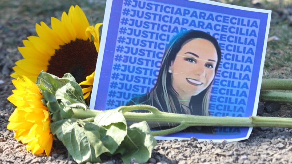 Ley Mozón: Castigos y Estados de Aprobación en México