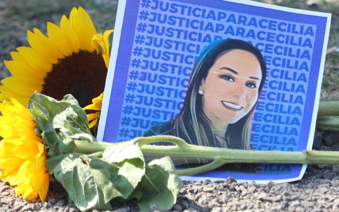 Ley Mozón: Castigos y Estados de Aprobación en México