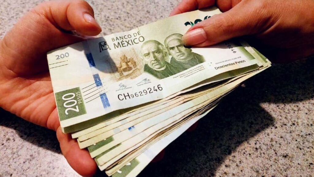 Descubre el Ingreso Promedio de un Lagunero: ¿Te Alcanzará para Vivir?