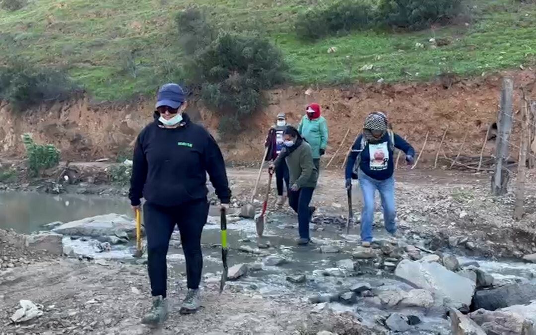 El Calvario de las Familias por un Hijo Desaparecido en Tijuana: Acta de Nacimiento Crucial